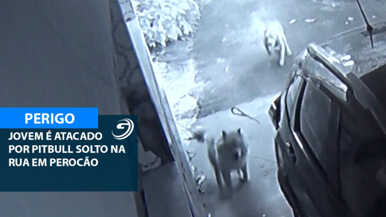 ATAQUE DE PITBULL EM PEROCAO