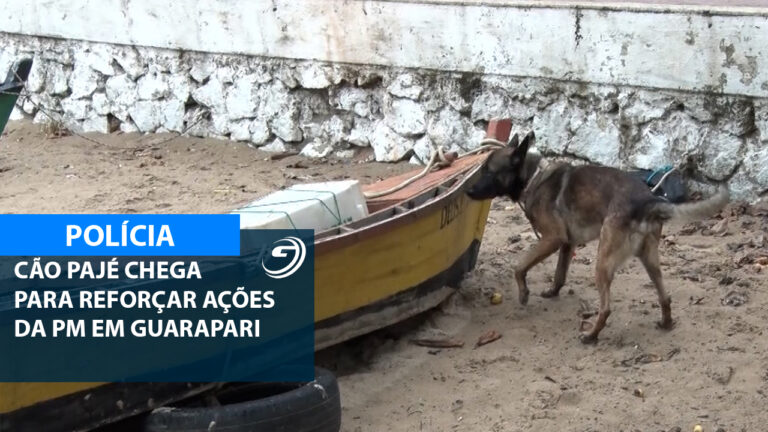 CAO PAJE REFORCA TRABALHO PM GUARAPARI