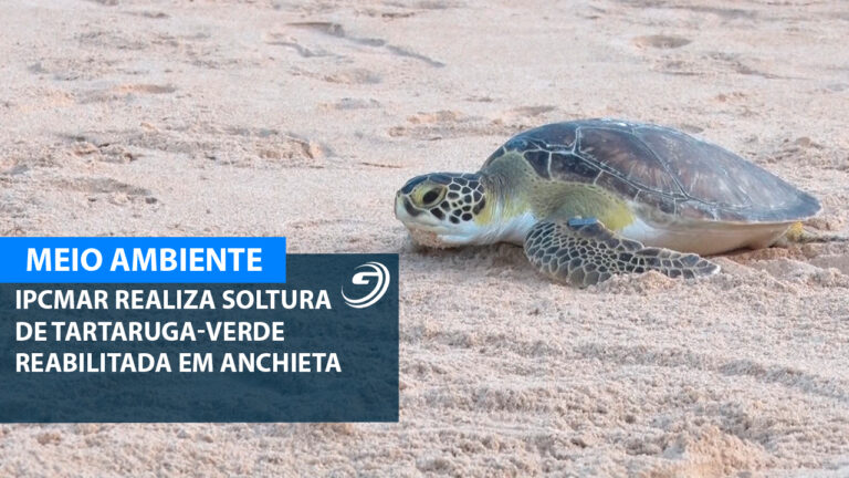 IPCMAR REALIZA SOLTURA TARTARUGA REABILITADA