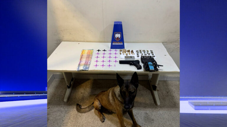 PM REALIZA DIVERSAS APREENSÕES EM GUARAPARI