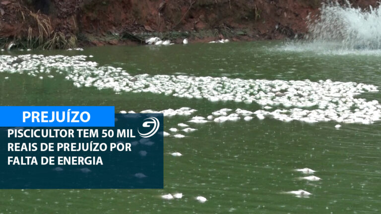 PSICULTOR FICA SEM ENERGIA E TILAPIAS MORREM