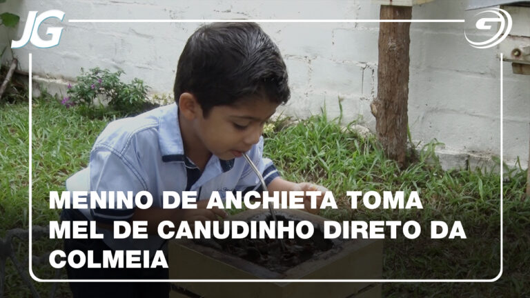 GAROTO CHAMA ATENCAO ANCHIETA MEL ABELHA