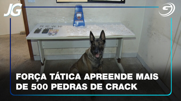 PM FAZ APREENSAO DE DROGAS NO ADALBERTO
