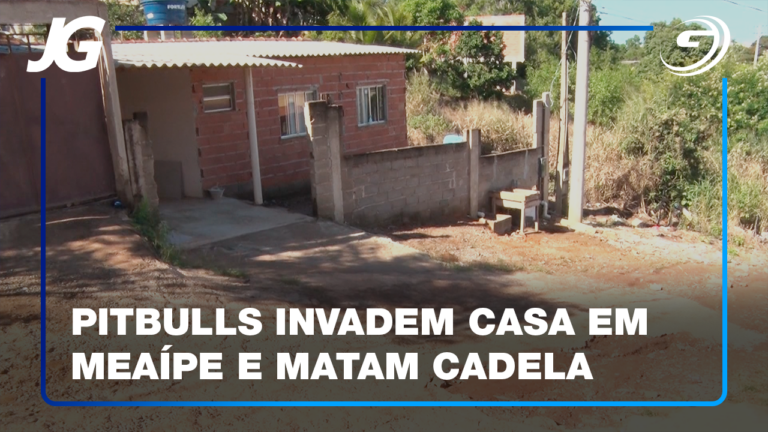 CADELA TINHA 10 ANOS E ERA DE CRIANÇA AUTISTA QUE TEM SOFRIDO COM A AUSÊNCIA