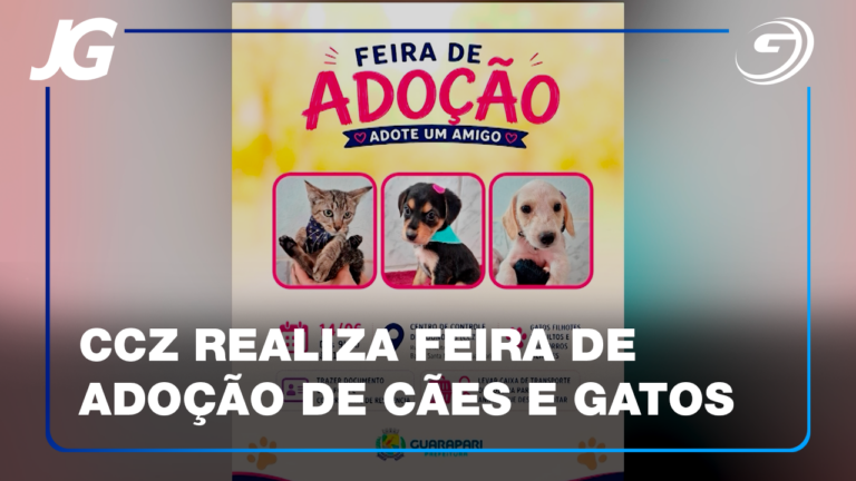 FEIRA DE ADOÇÃO ACONTECE NESTE DOMINGO NA SEDE DO CCZ EM SANTA MÔNICA