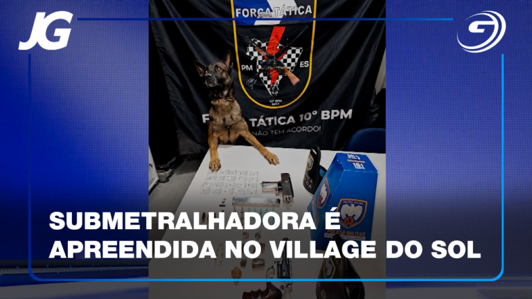 OUTRAS ARMAS E DROGAS FORAM APREENDIDAS PELA PM EM GUARAPARI