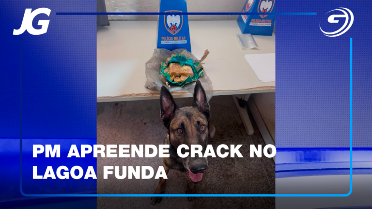 APREENSÃO ACONTECEU COM APOIO DO CÃO FAREJADOR