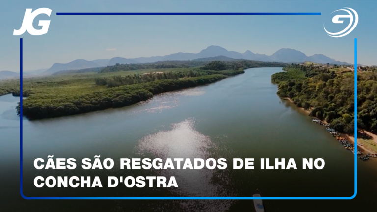 CPI DOS MAUS-TRATOS DA ASSEMBLEIA LEGISLATIVA INVESTIGA O CASO