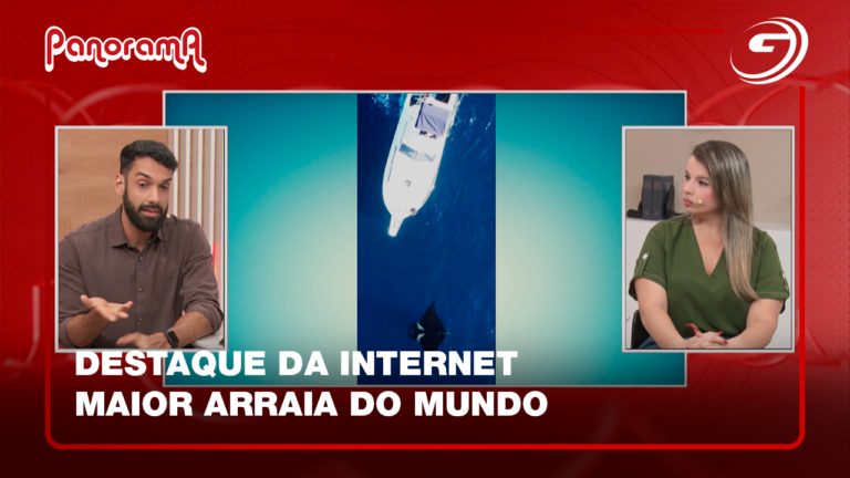 Destaque da internet - maior arraia do mundo