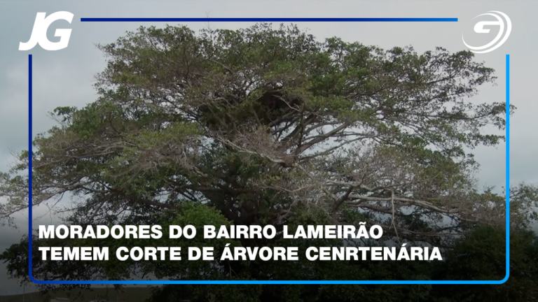 MORADORES LAMEIRAO QUESTIONAM CORTE ARVORE