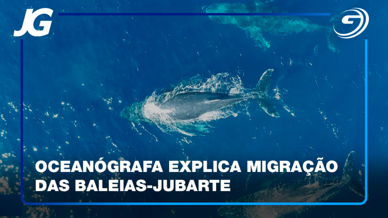 AS BALEIAS MIGRAM DA ANTÁRTIDA PARA O NASCIMENTO DOS FILHOTES