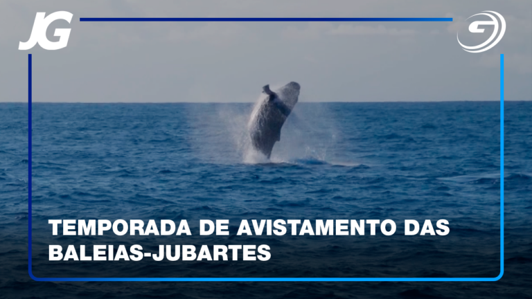 ATÉ NOVEMBRO AS BALEIAS PODEM SER AVISTADAS NO LITORAL CAPIXABA