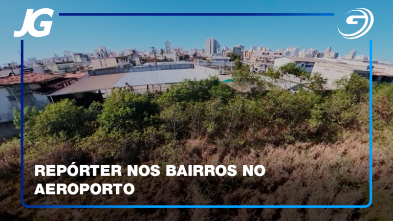 MATO ALTO NO TERRENO DO AEROPORTO TEM ATRAÍDO BICHOS PEÇONHENTOS E RATOS