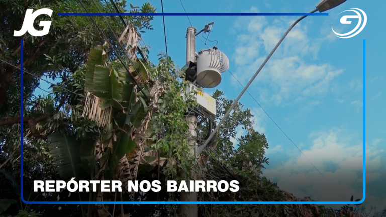 MORADORAS PEDEM PODA DE ÁRVORE QUE ENCOSTA NOS FIOS NO BELA VISTA