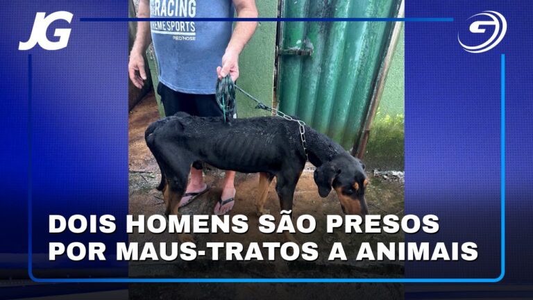 24-09_05_YT