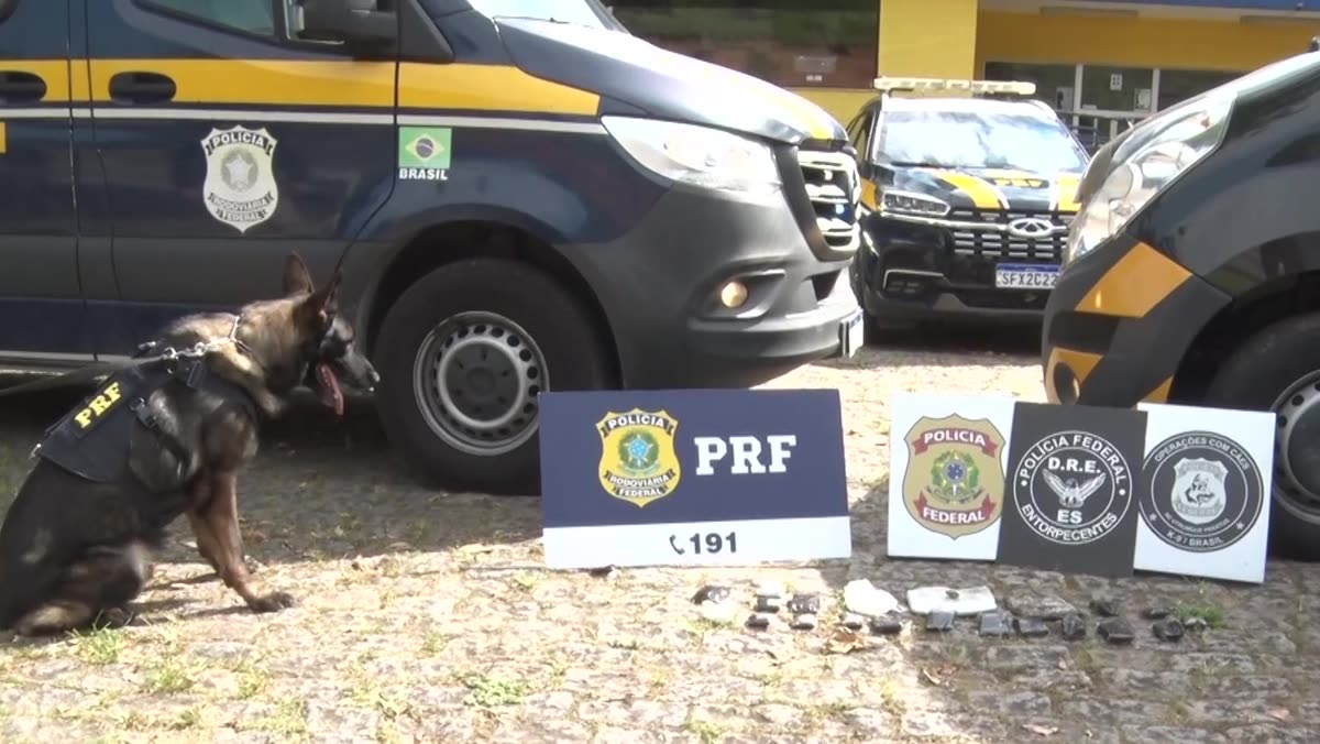 Tabletes de haxixe apreendidos pela PRF e pela PF