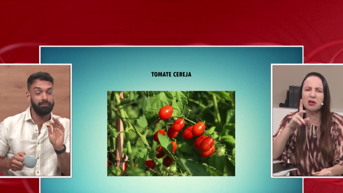 Imagem de tomate cereja usada na brincadeira do quadro