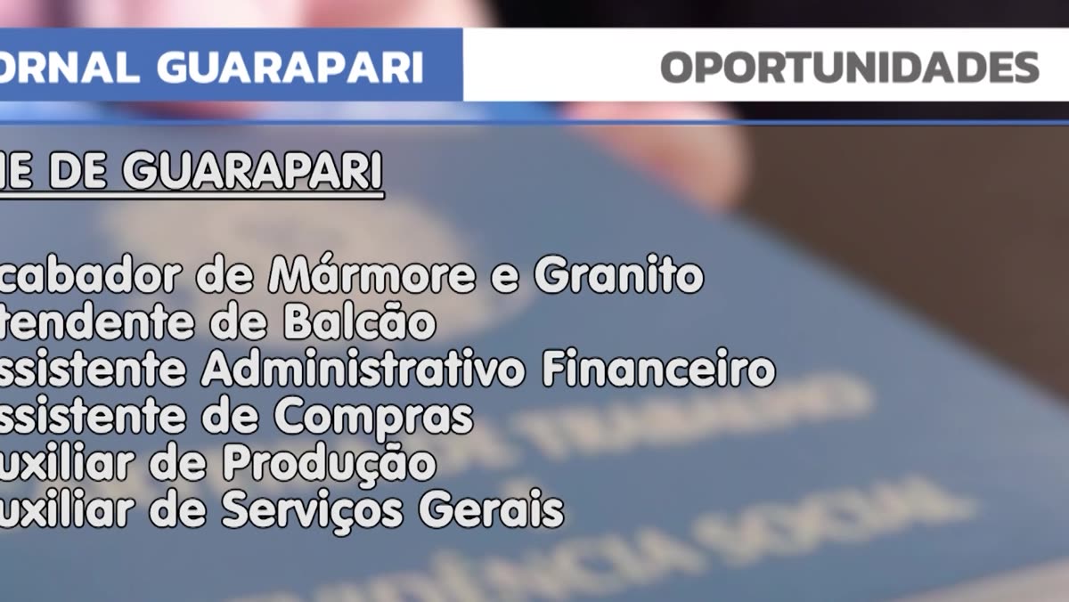 Arte com as funções disponíveis no Sine de Guarapari