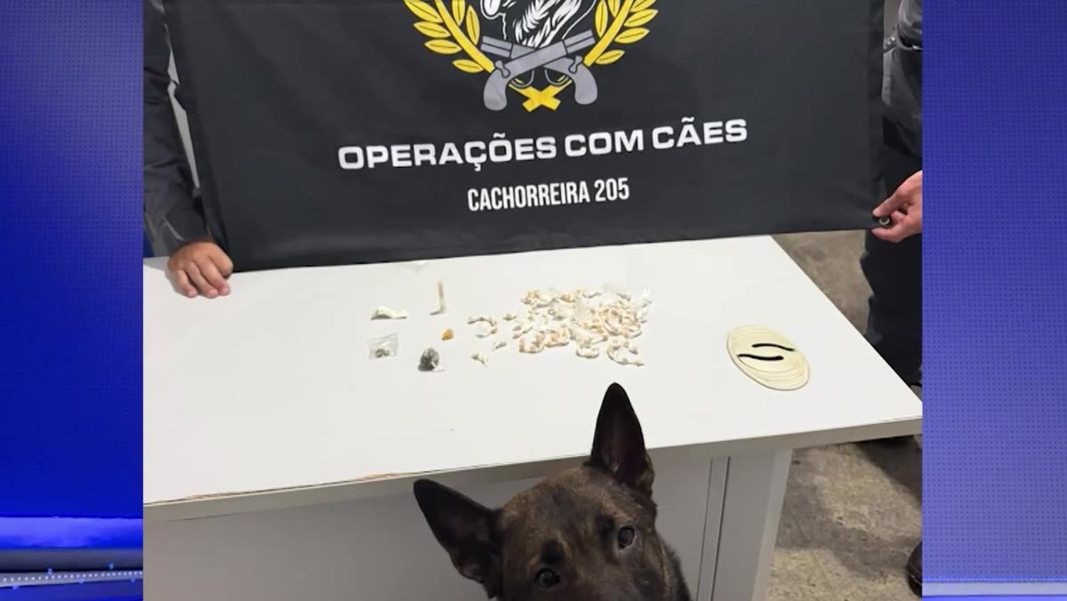 Pedras de crack e outros entorpecentes apreendidos no Perocão