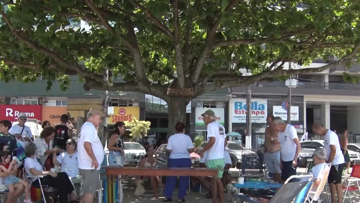 Placa com o nome Grupo da Árvore fixada junto à árvore na orla da Praia do Morro, em Guarapari