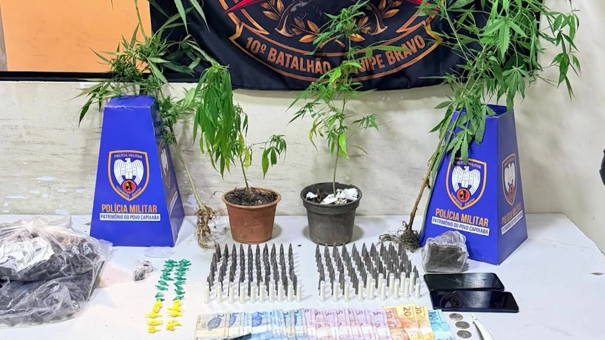 Pinos de cocaína, pedras de crack, maconha e pés da planta apreendidos em Setiba