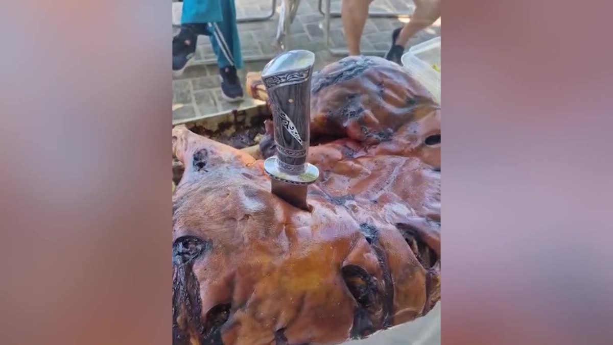 Leitão assado inteiro servido embaixo da árvore na Praia do Morro