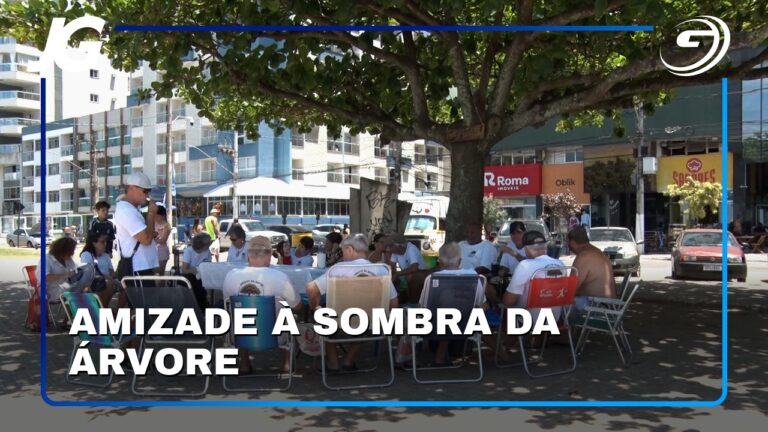 AMIZADE À SOMBRA DA ÁRVORE