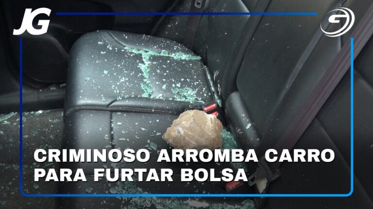 CRIMINOSO ARROMBA CARRO PARA FURTAR BOLSA